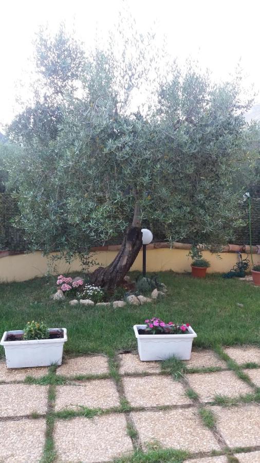 Alloggio Turistico L'Ulivo Monte San Biagio Dış mekan fotoğraf