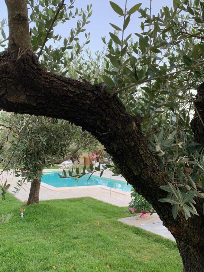Alloggio Turistico L'Ulivo Monte San Biagio Dış mekan fotoğraf