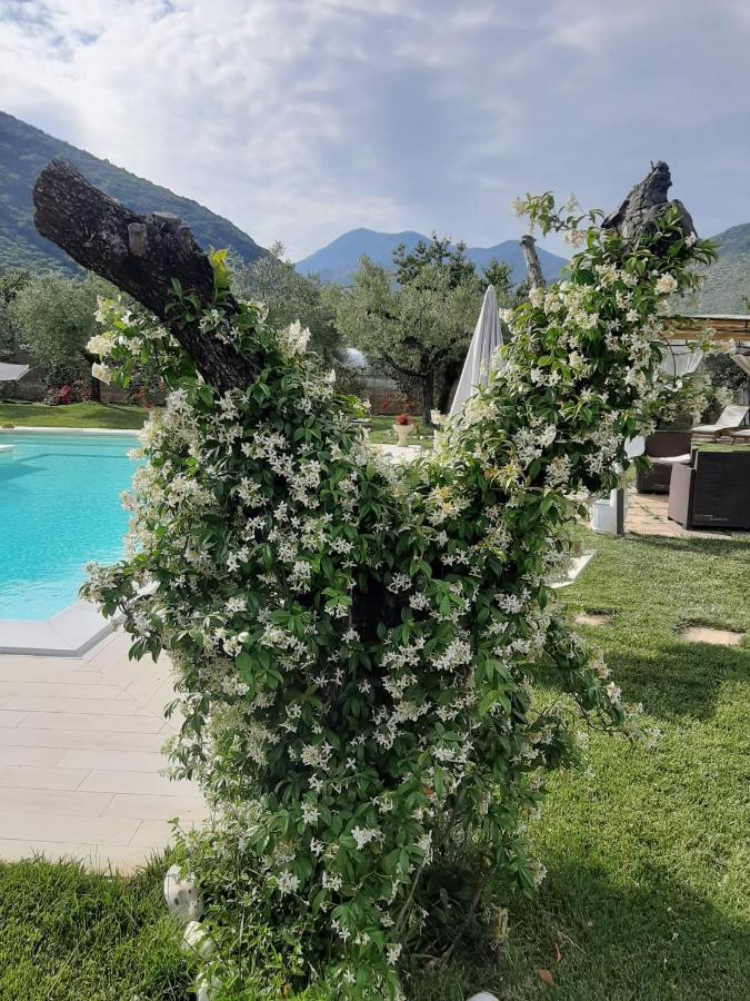 Alloggio Turistico L'Ulivo Monte San Biagio Dış mekan fotoğraf