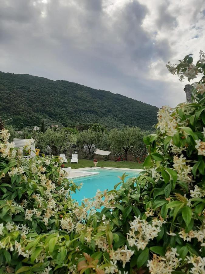 Alloggio Turistico L'Ulivo Monte San Biagio Dış mekan fotoğraf
